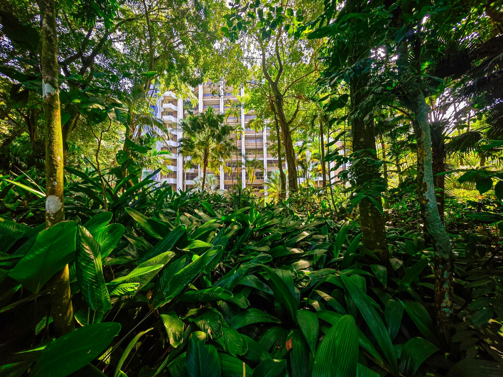 Superb apartment with 4 suites and a pool located in a prestigious building in Gávea — photo 57 of 77 (apartment, Gávea, Rio de Janeiro)