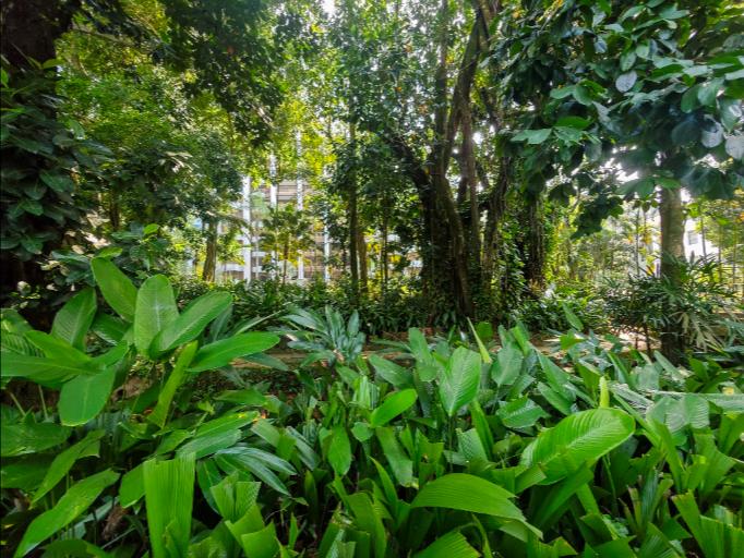 Magnificent apartment with 4 suites, a private pool and a sauna located in a prestigious building in Gávea — photo 57 of 61 (apartment, Gávea, Rio de Janeiro)