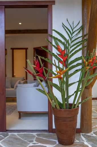 Seven villa hotel for sale in Trancoso — photo 38 of 190 (hotel, Trancoso, Rio de Janeiro)